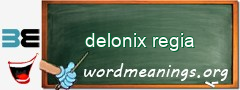 WordMeaning blackboard for delonix regia